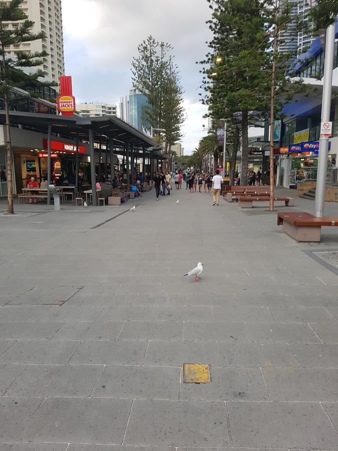The Sands Surfers Paradise Ngoại thất bức ảnh